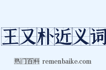 王又朴近义词是什么意思的图片